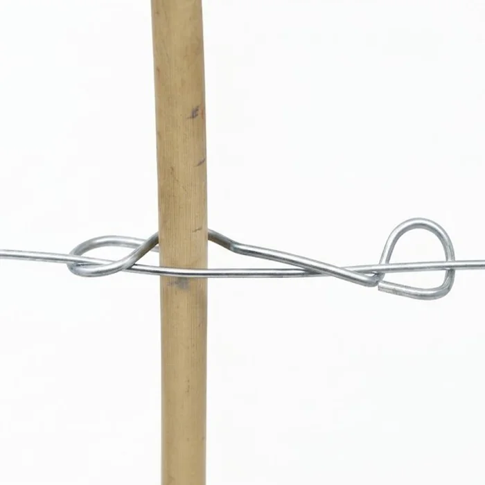 2026-10-20-3fixing-clip-agricultural-plant-stem.webp